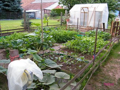 neue bilder mai 029.jpg