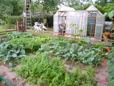 neue bilder mai 034.jpg