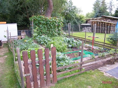 neue bilder mai 028.jpg