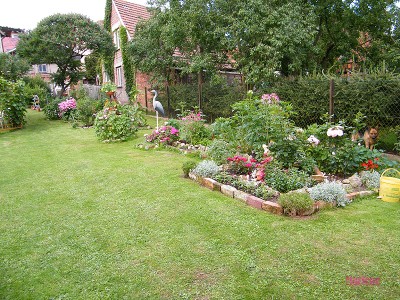 neue bilder mai 025.jpg