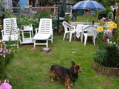 neue bilder mai 020.jpg