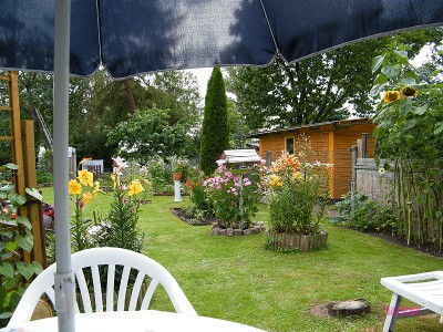 neue bilder mai 018.jpg