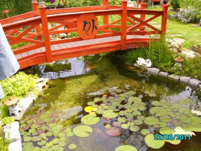 PICT2173.JPG