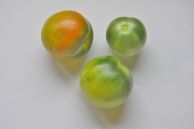 7-20 (2000x1328).jpg