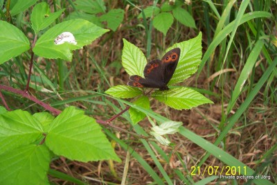 100_6891.JPG