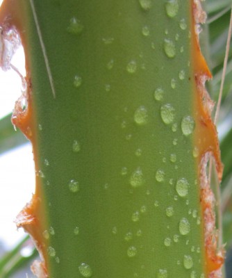 Bild green24 223.jpg