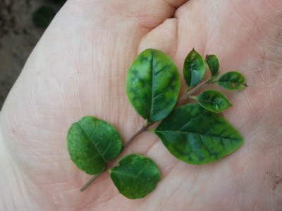 2011-07-10 13.53.26.jpg