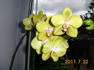 DSCI0407.JPG