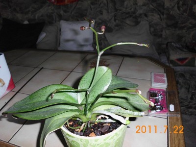 DSCI0397.JPG