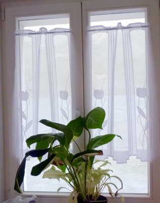 P1010847.JPG