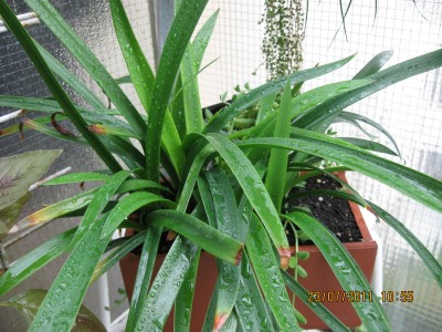 2011_6805.jpg