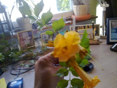 22072011091.jpg