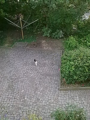 ..hinterhof.JPG