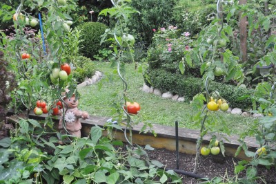 tezi 011 (2000x1328).jpg