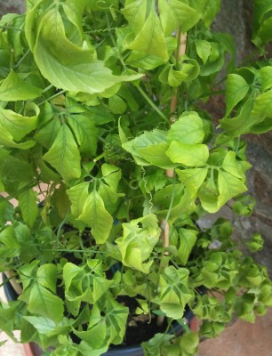 2011-07-24 15.38.06.jpg