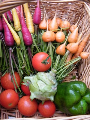 erste Ernte 2011.jpg