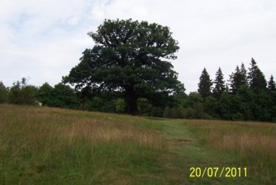 Zwischenablage01.jpg