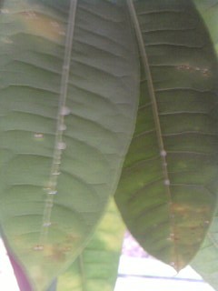 SP_A0282.jpg