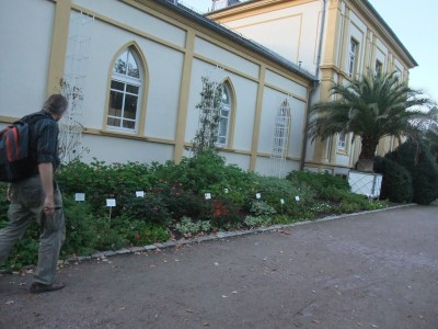 DSCF3964.JPG