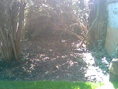 Schattenecke2.jpg