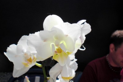 CIMG9943_Klein.jpg