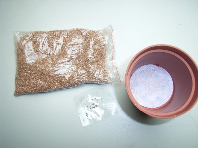 RIMG0058.JPG