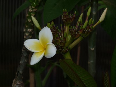 P1080284(1).JPG
