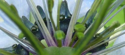 raetsel (640x283).jpg