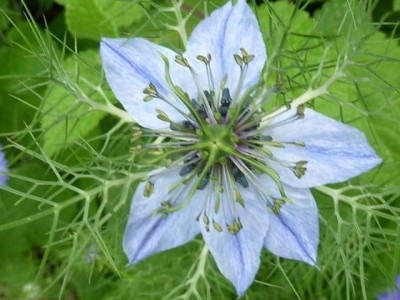 055 - Kopie (640x480).jpg