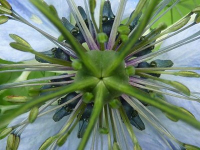 053 - Kopie (640x480).jpg