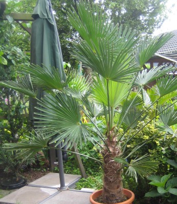 Bild green24 276.jpg