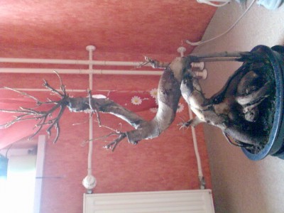 Bild276.jpg