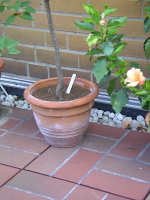 SANY0063.JPG