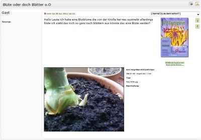 Ansicht als eingeloggter User.JPG