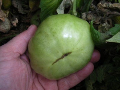 RIMG0050.JPG