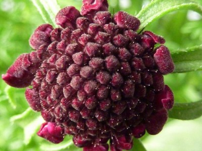 089 - Kopie (640x480).jpg