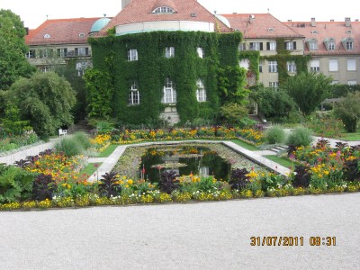 2011_7001.jpg