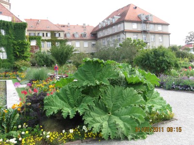 2011_6994.jpg
