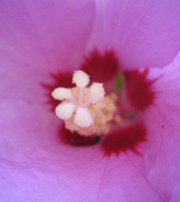 Bild green24 286.jpg