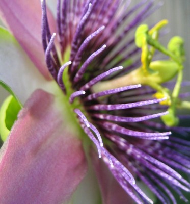 Bild green24 282.jpg