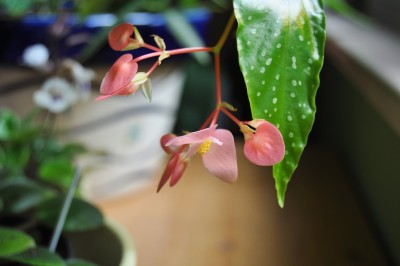 Berlin 2 165 (2000x1328).jpg