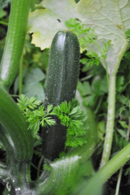 Berlin 2 189 (1328x2000).jpg