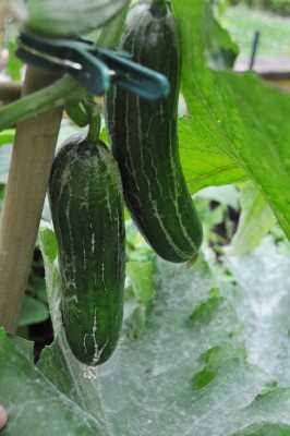 Berlin 2 187 (1328x2000).jpg