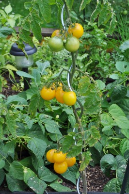 Berlin 2 172 (1328x2000).jpg