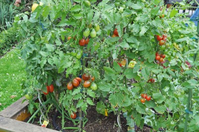 Berlin 2 171 (2000x1328).jpg