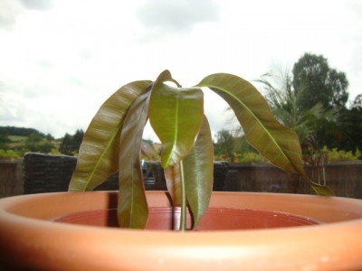 2011-07-23 11-39-31.JPG