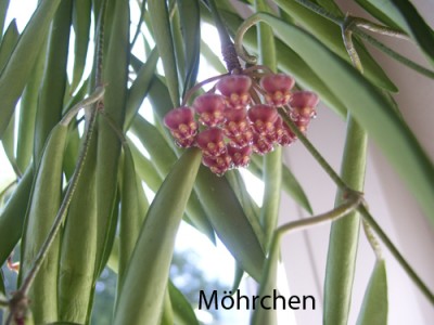 056 Kopie.jpg