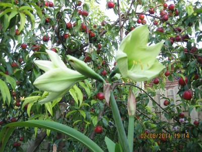 2011_7076.jpg