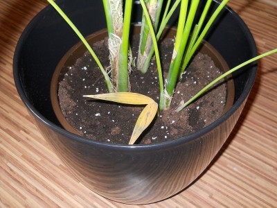 DSCN1946 - 2.jpg