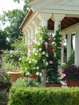 2514-duftgarten.jpg